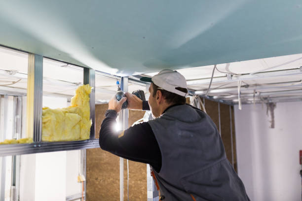 Best Spray Foam Insulation in Groveland, FL