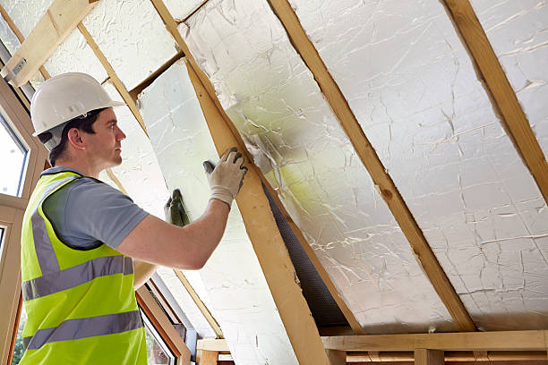 Types of Insulation We Offer in Groveland, FL
