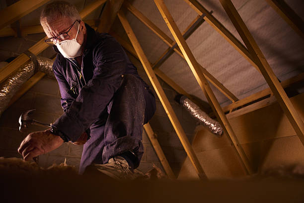 Best Geographic-Specific Insulation Services in Groveland, FL